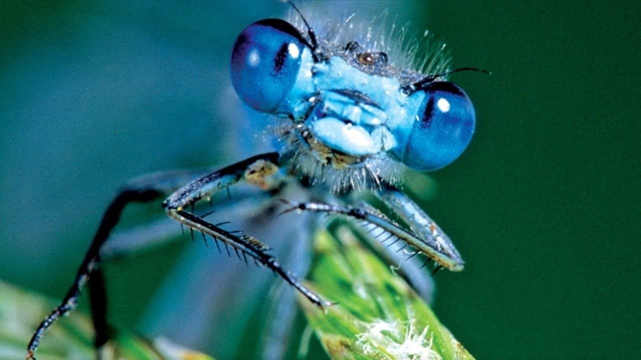 Un Monde en miniature backdrop