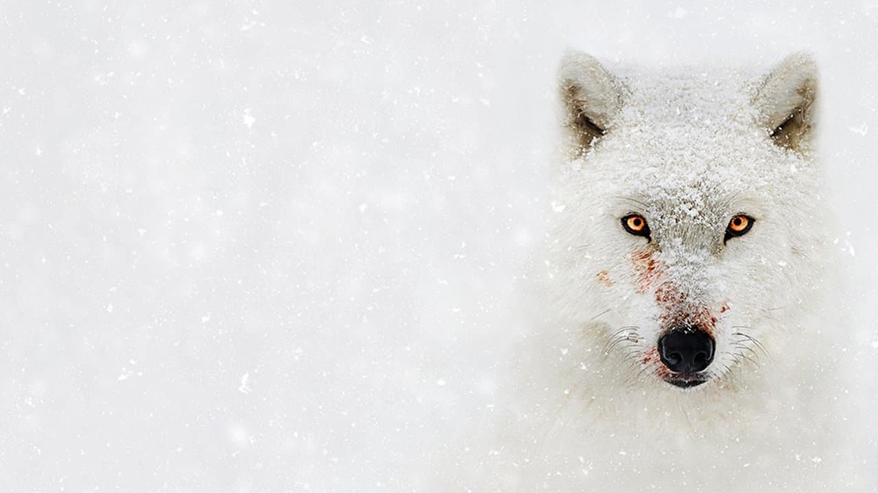 Planète Hostile backdrop