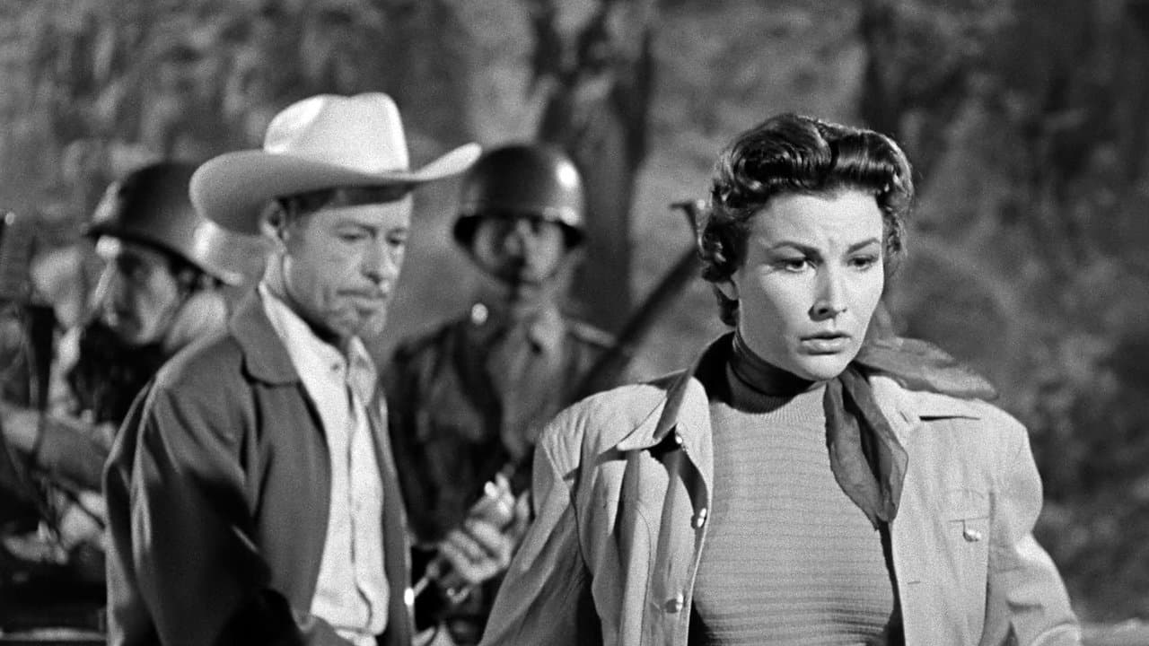 Le scorpion noir backdrop