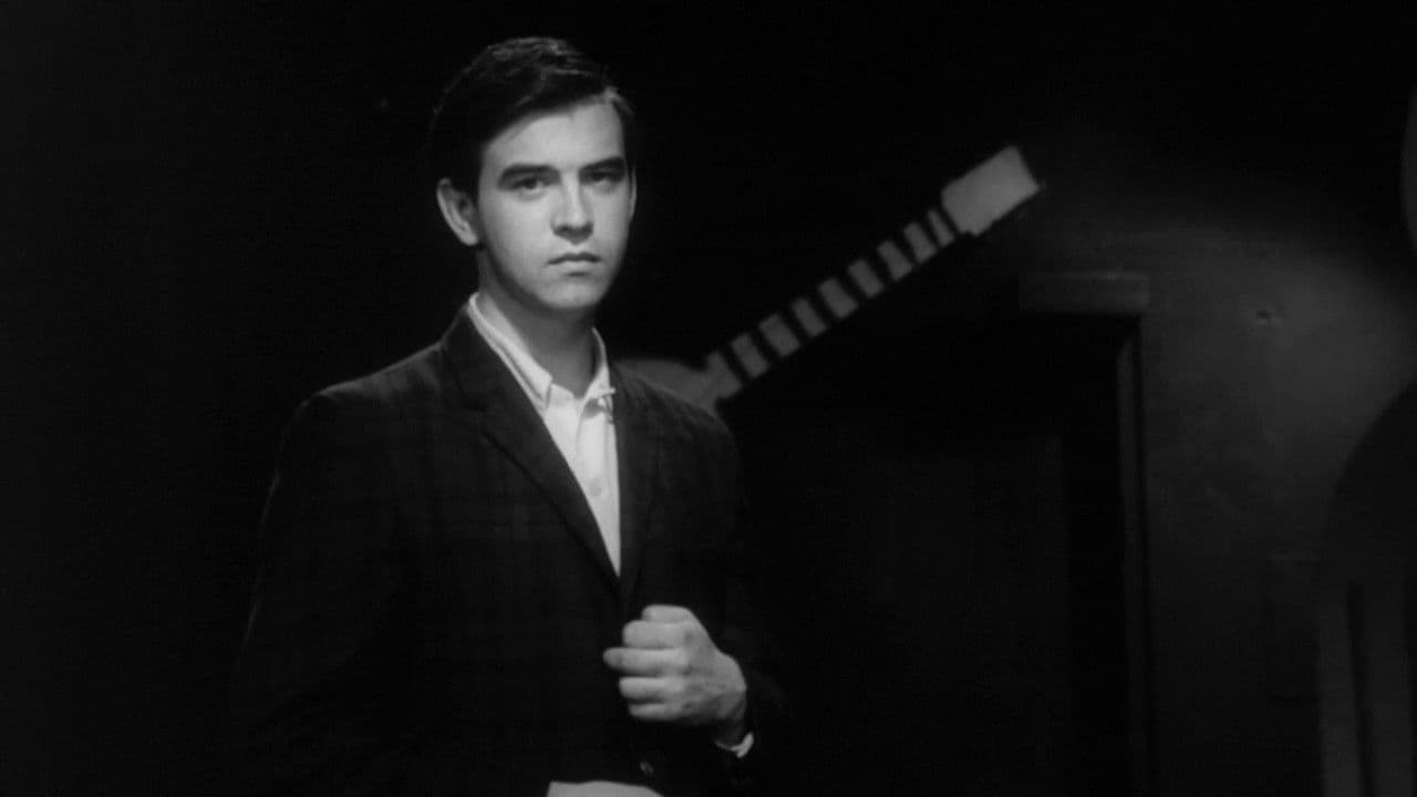 Trouble-fête backdrop