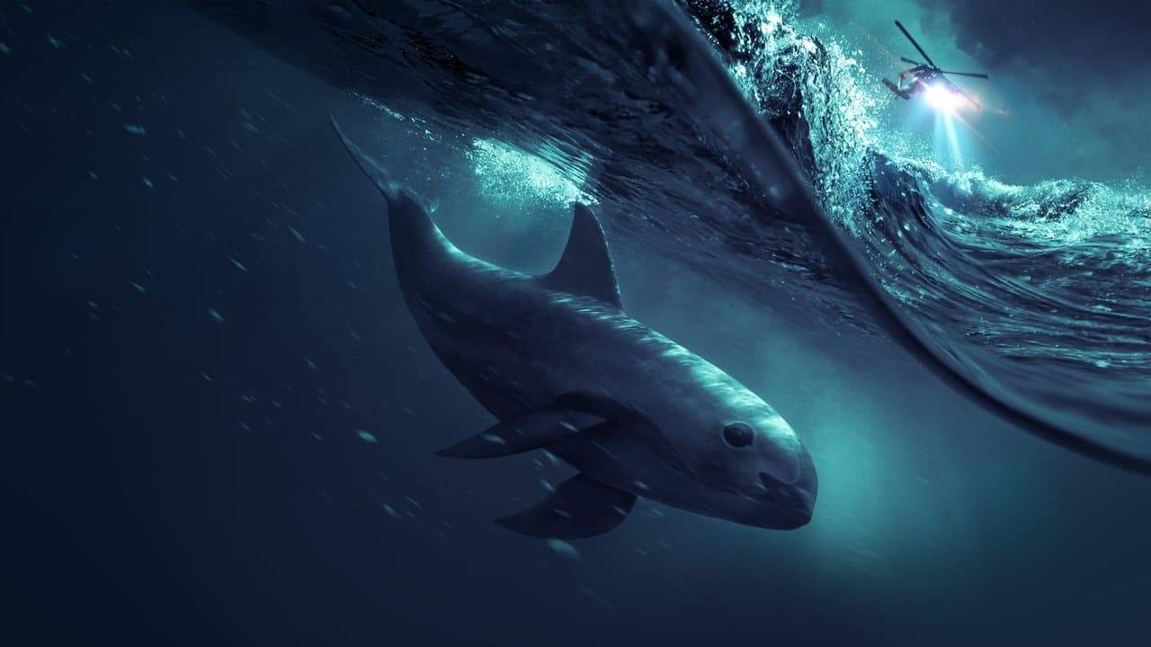 Sea of Shadows backdrop