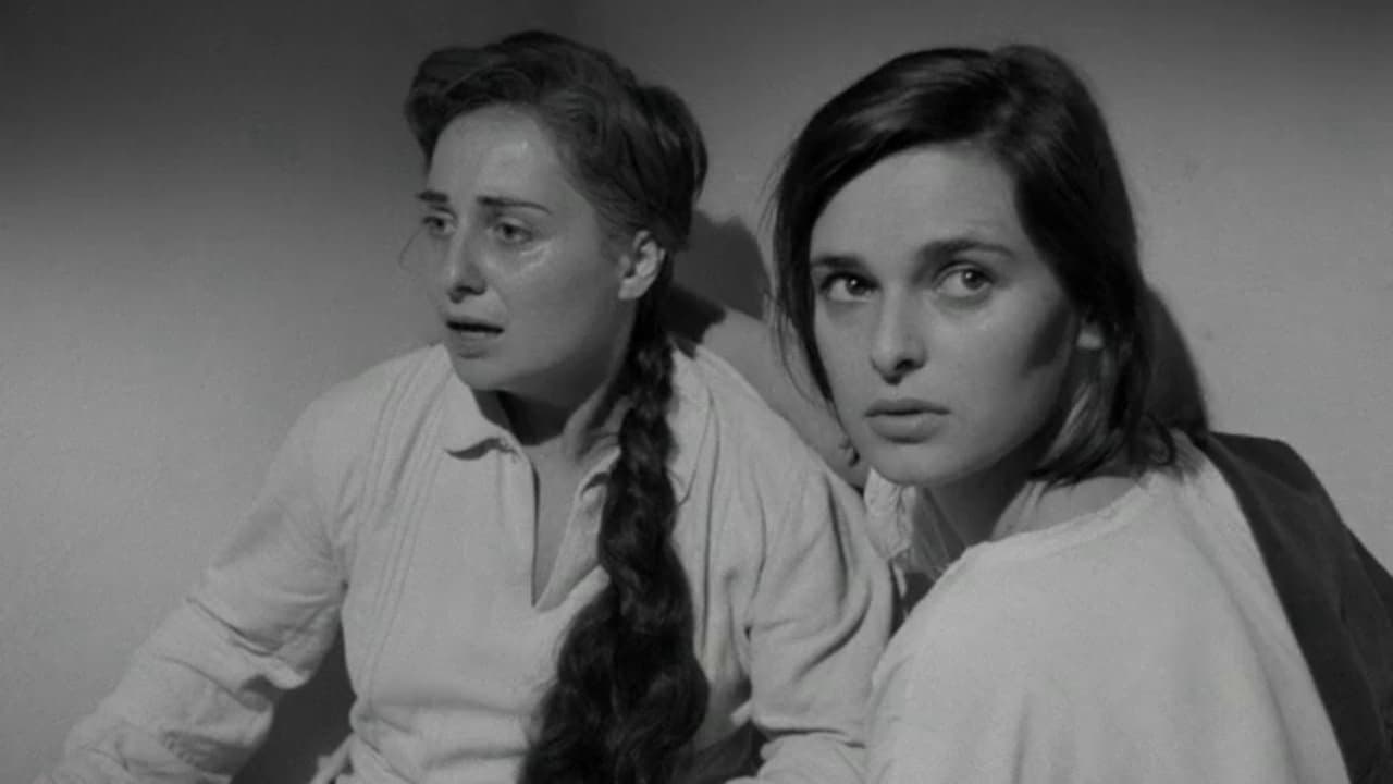 Les égarés backdrop