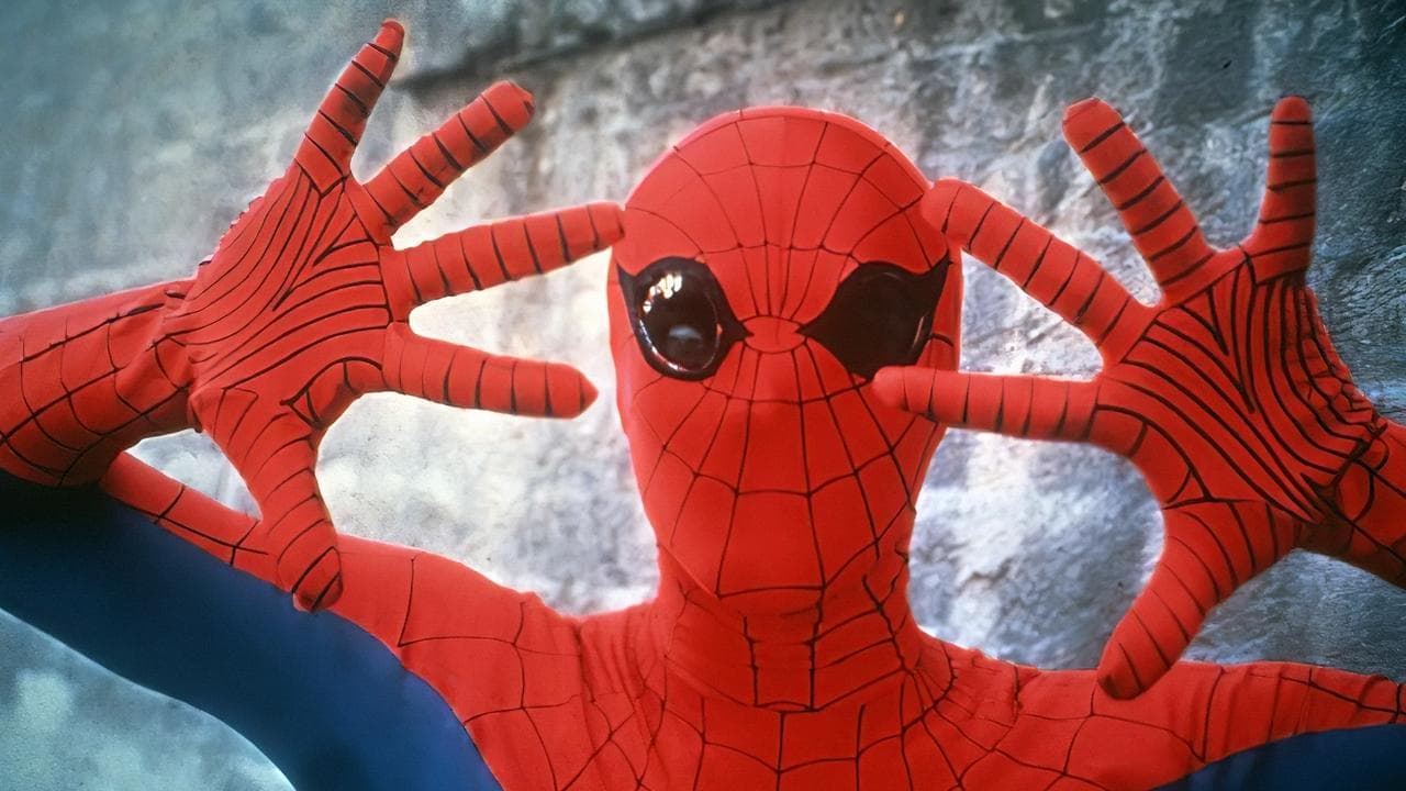 L'Homme Araignée backdrop