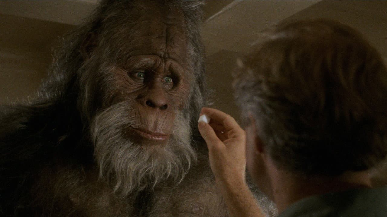 Bigfoot et les Henderson backdrop