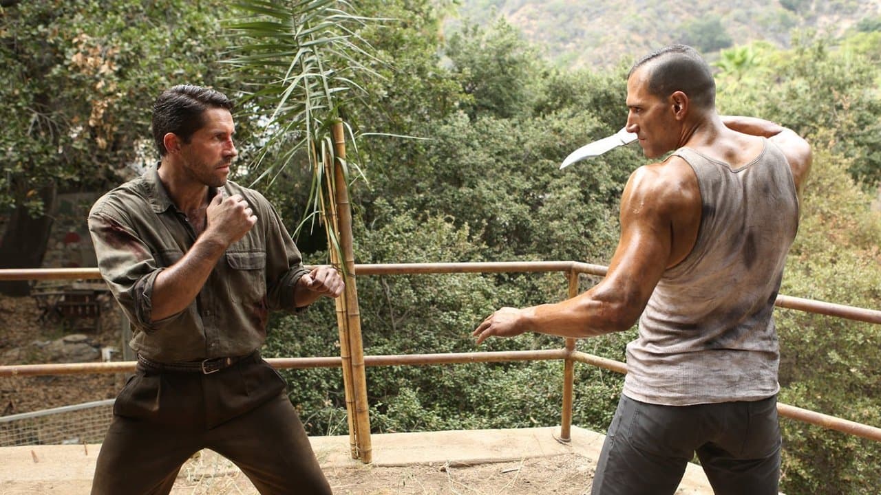 Chien sauvage (Savage Dog) backdrop