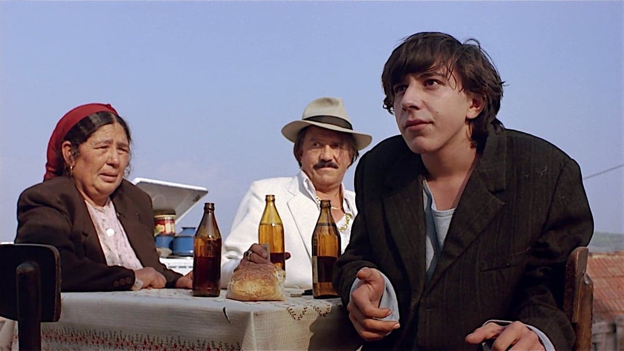 Le Temps des gitans backdrop