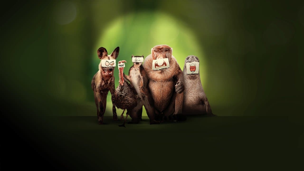 Les outsiders du monde animal backdrop