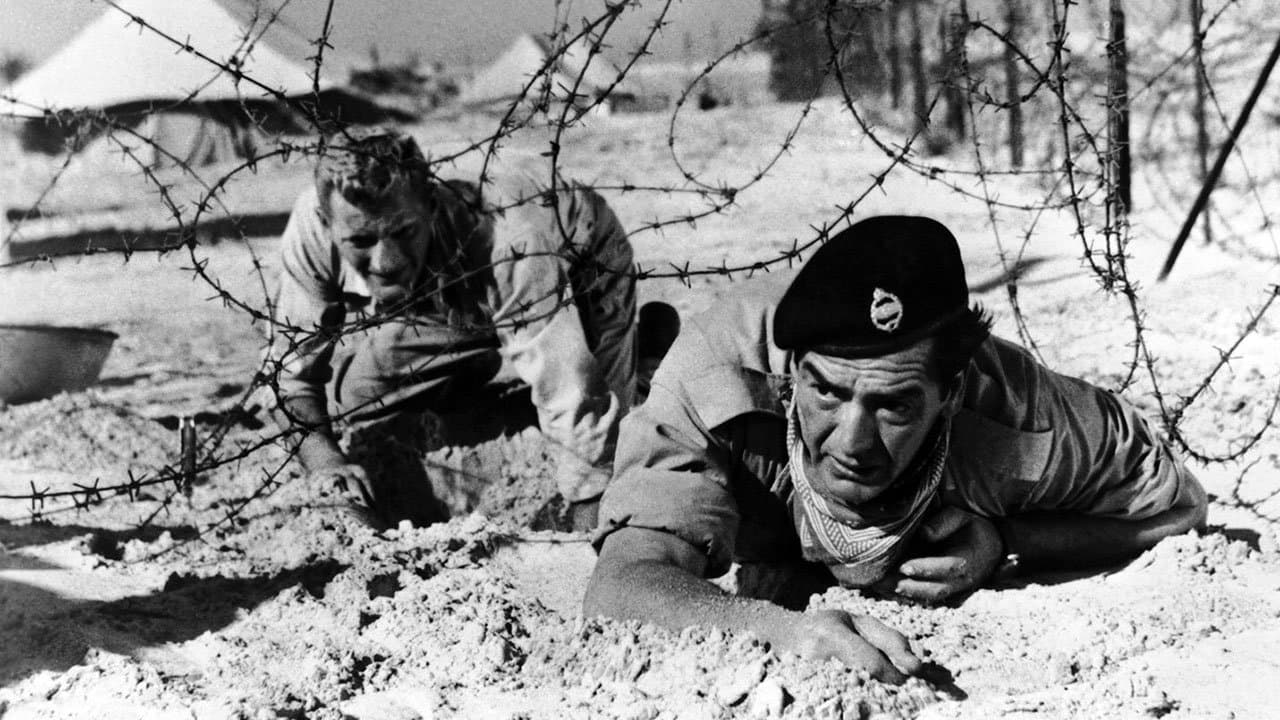 La Brigade des bérets noirs backdrop