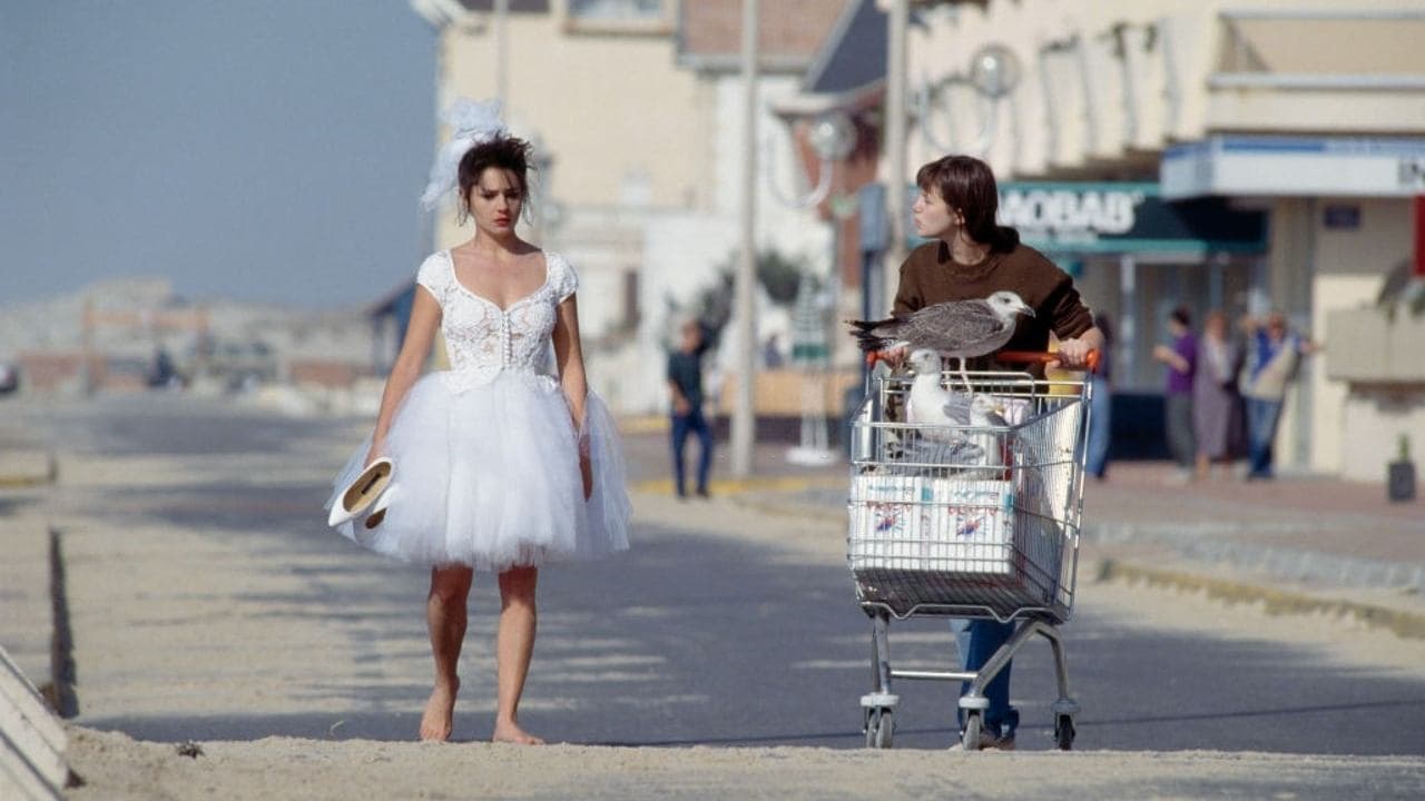 Merci la vie backdrop