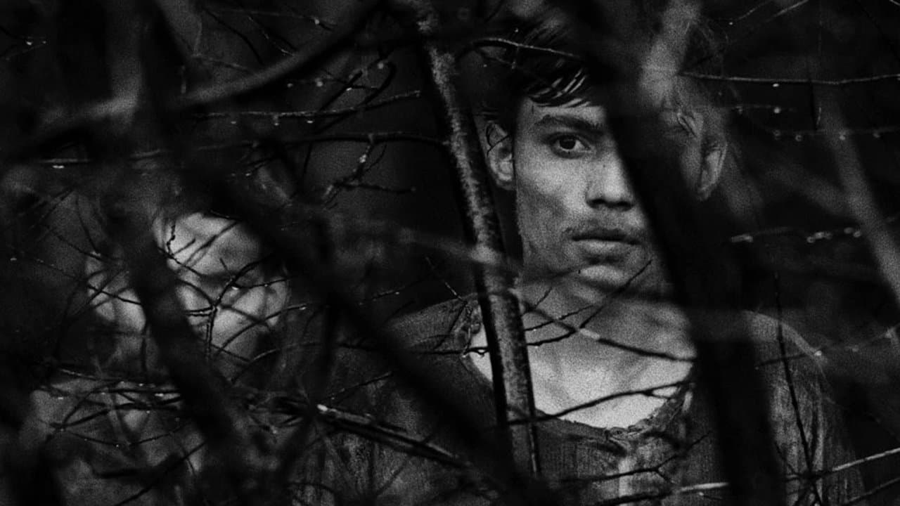 Les Diamants de la Nuit backdrop