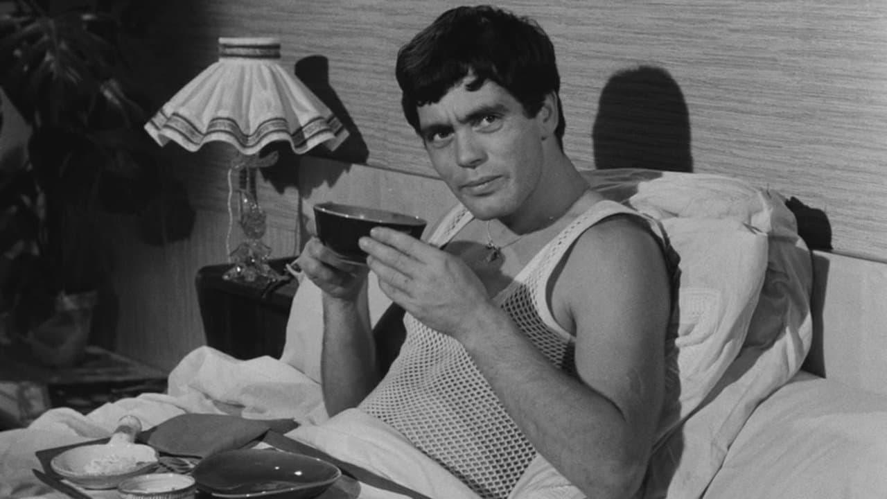 Du mouron pour les petits oiseaux backdrop