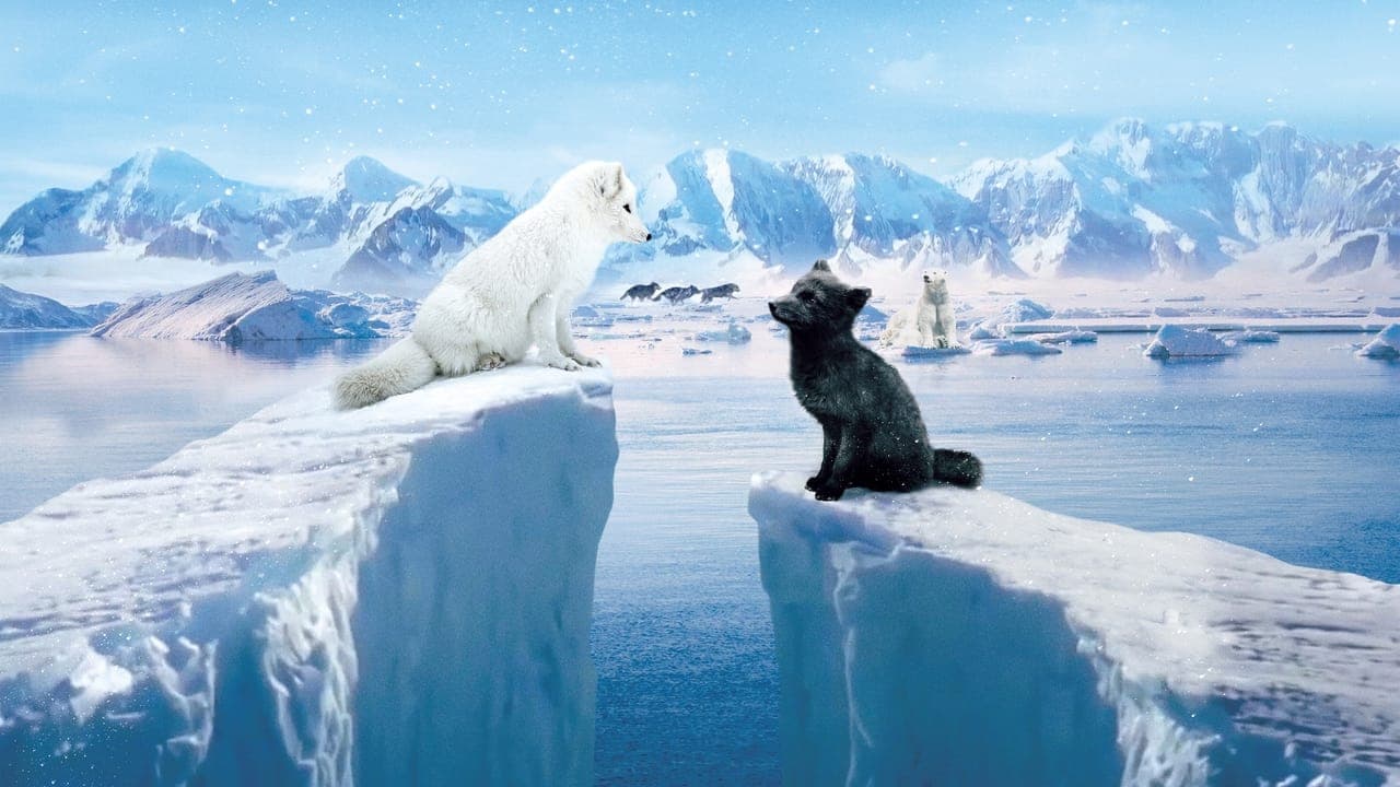 Kina & Yuk : Renards de la banquise backdrop