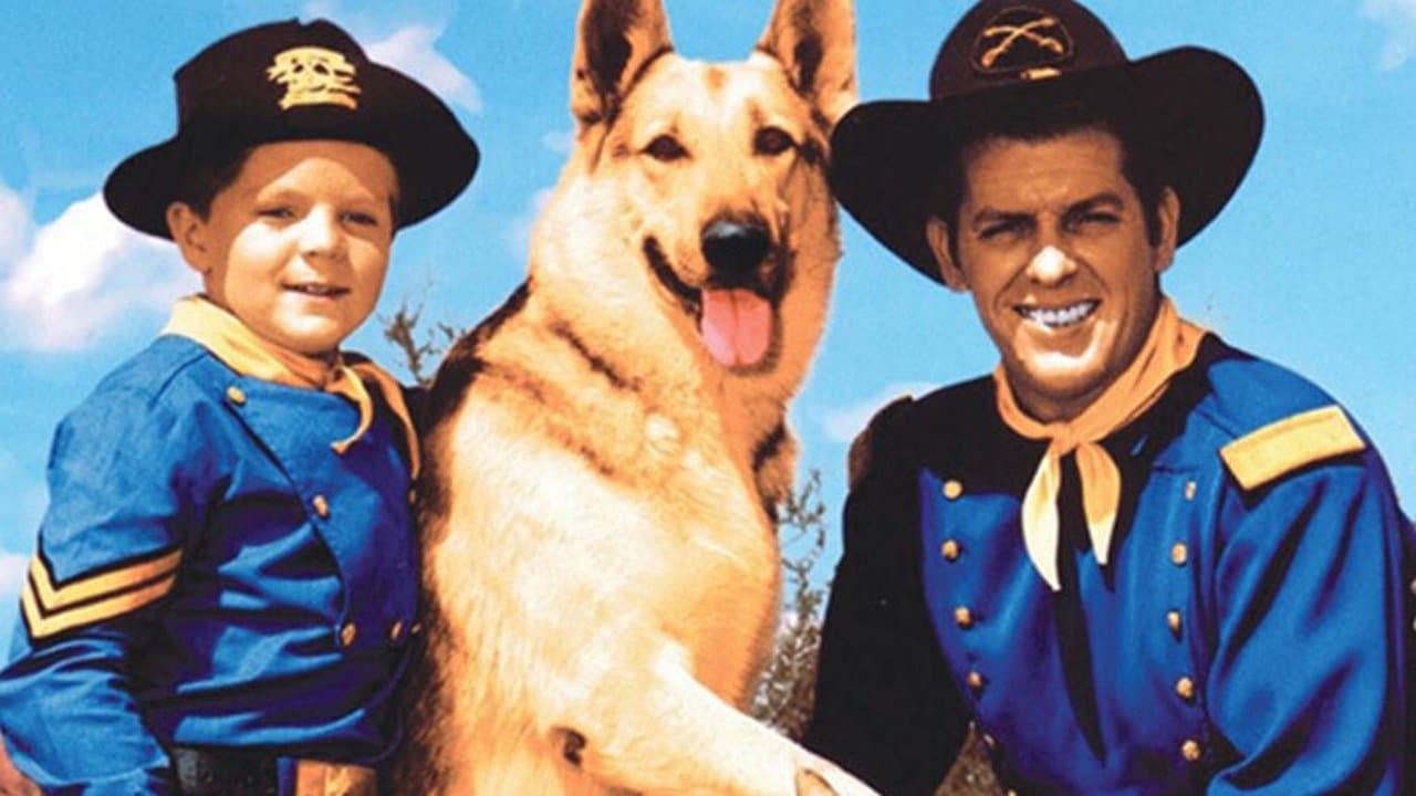 Les Aventures de Rintintin backdrop