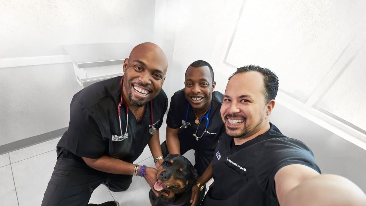 Trois vétos à Houston backdrop