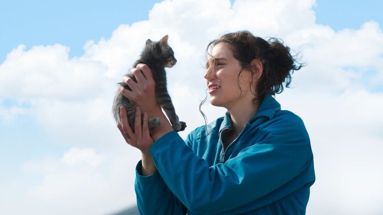 Sorry, Baby backdrop