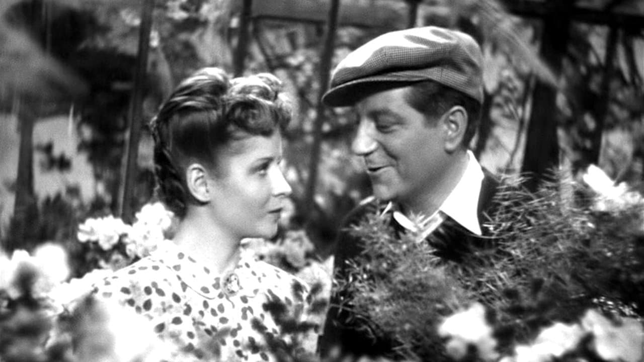 Le jour se lève backdrop