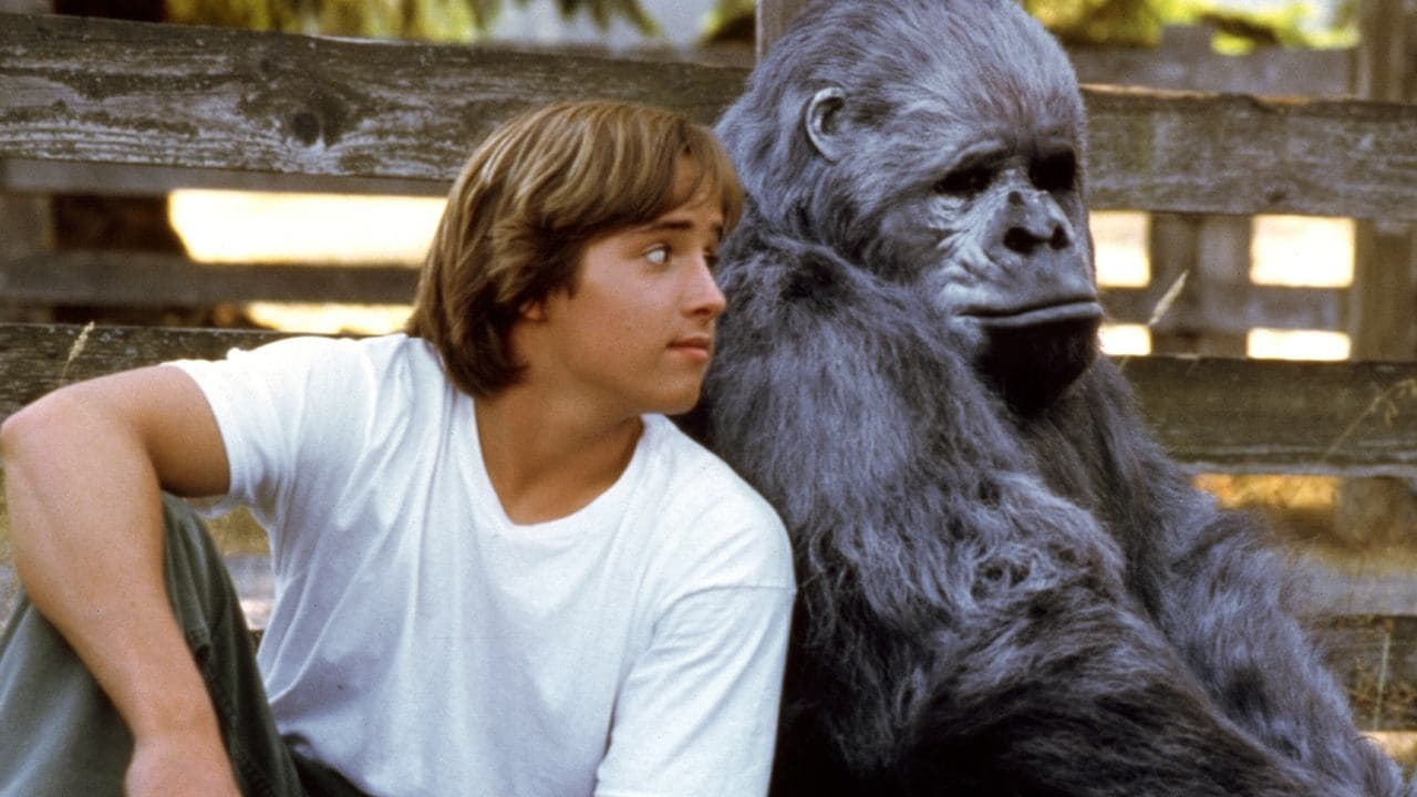 Drôle de singe backdrop