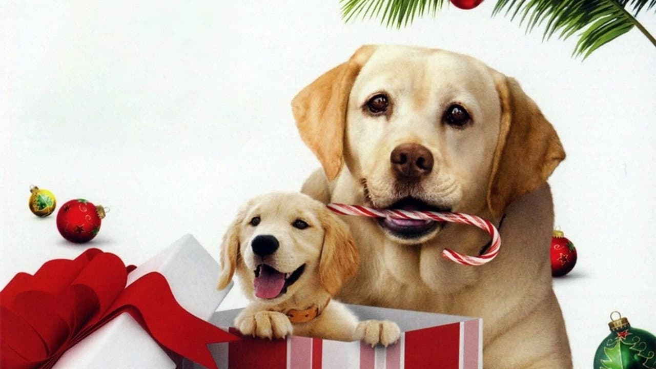 Le Chien qui a sauvé Noël backdrop