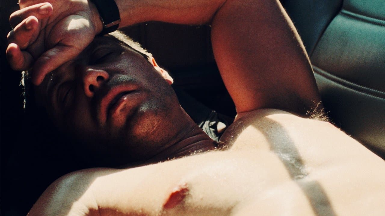 Le champ des possibles backdrop