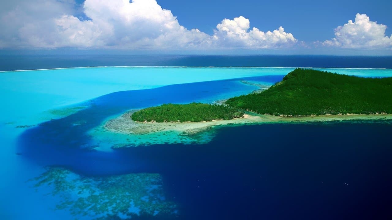 Pacifique du sud backdrop