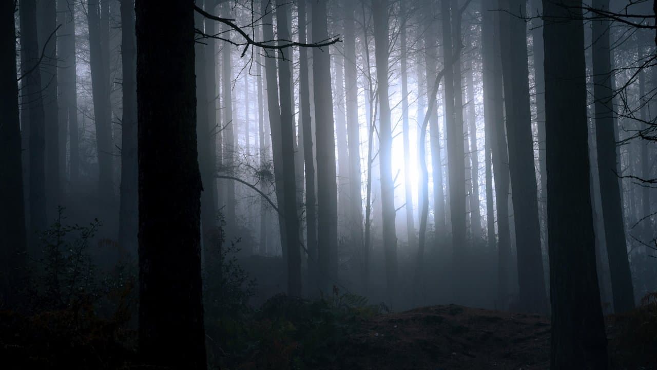 Finding Bigfoot backdrop