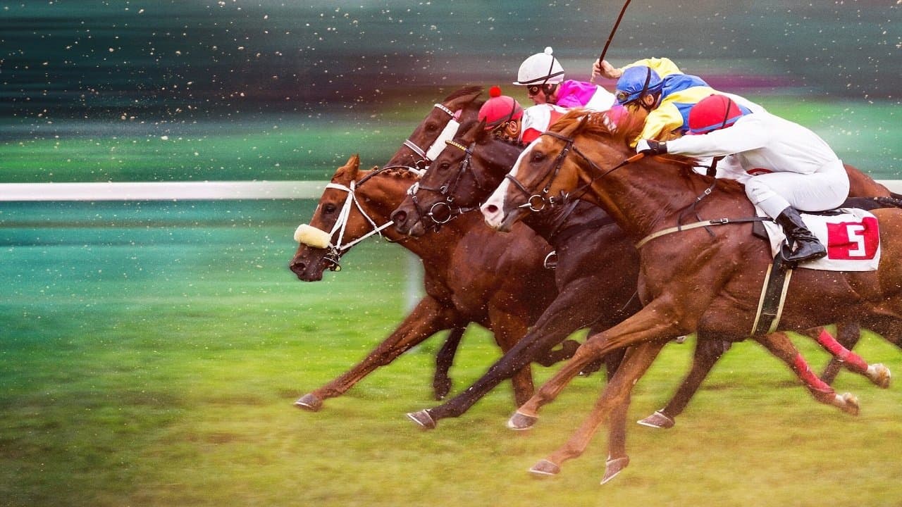 Race For The Crown : La gloire au galop backdrop