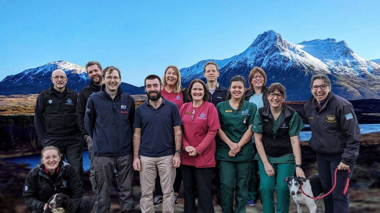 Vétérinaires en terre d'Ecosse backdrop