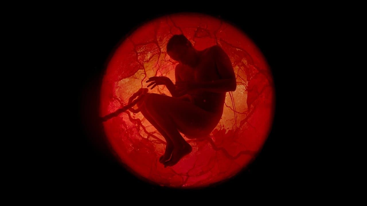 A Whole Lifetime with Jamie Demetriou backdrop