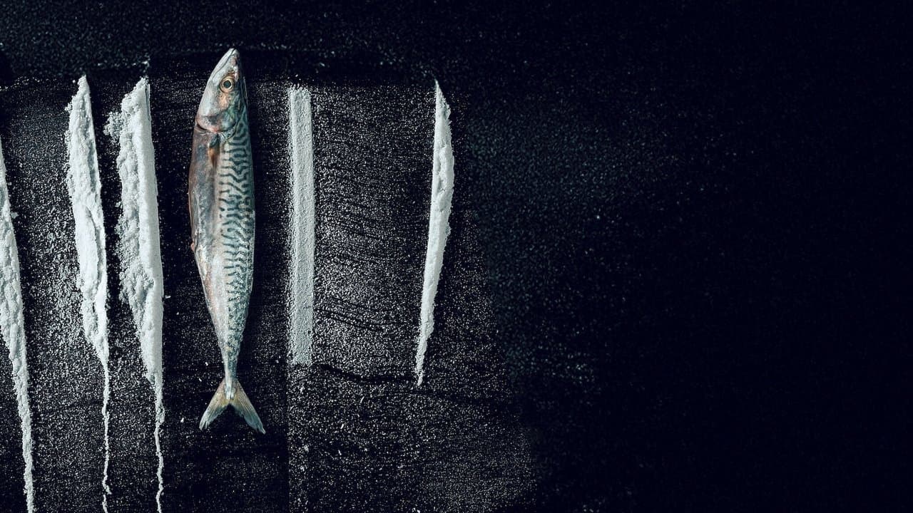 Pêche interdite : L'histoire surréaliste de Rabo de Peixe backdrop