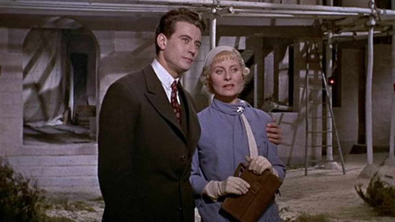 Marguerite de la nuit backdrop