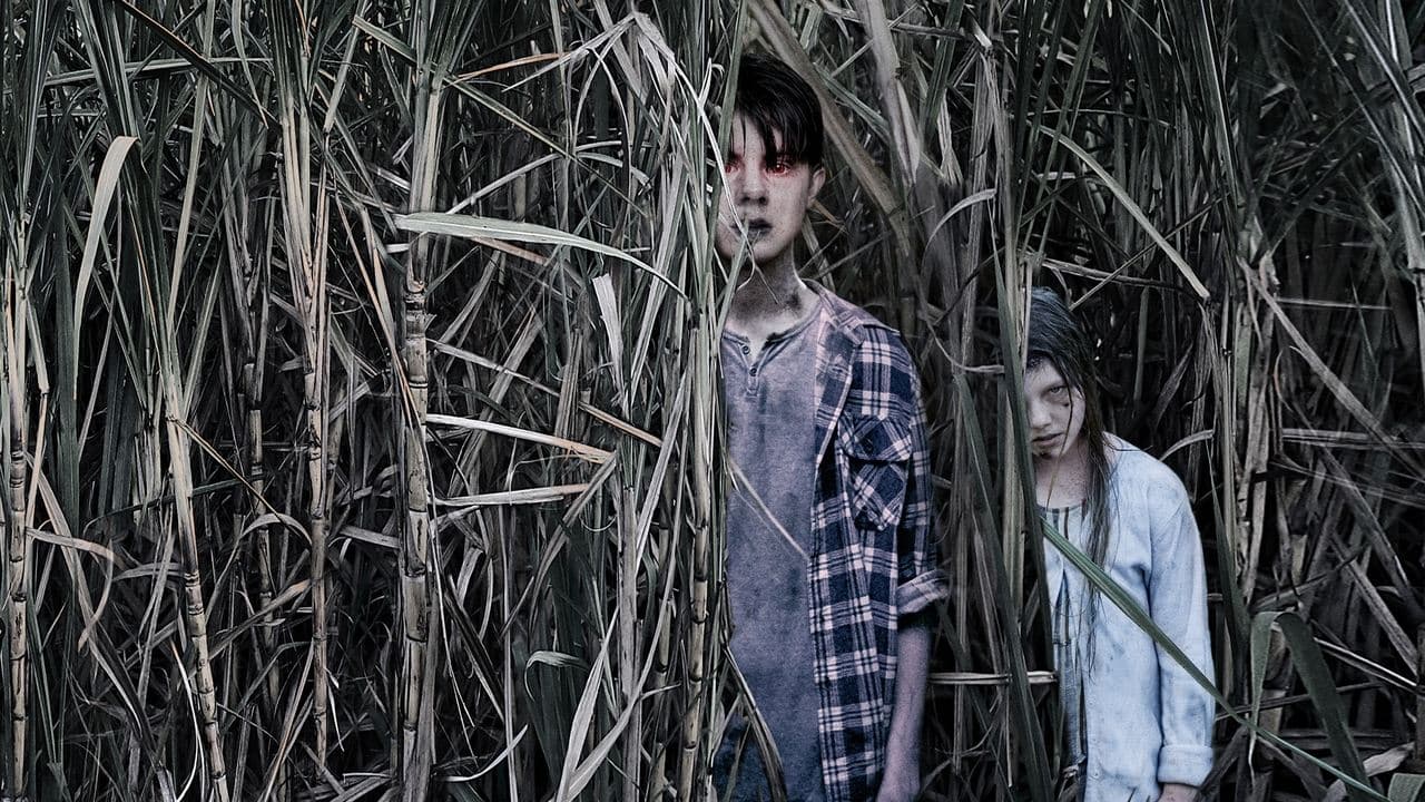 Sweet River backdrop