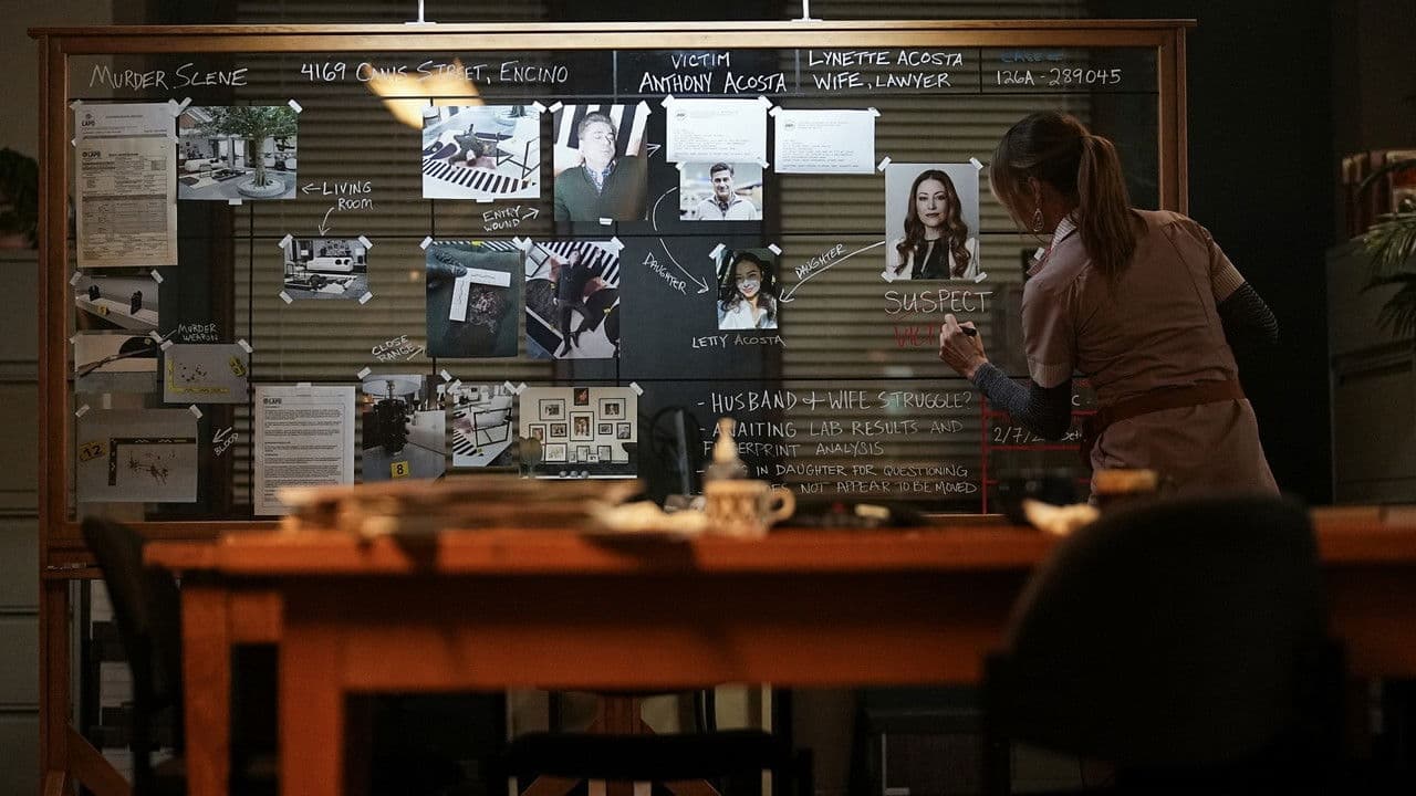 High Potential backdrop