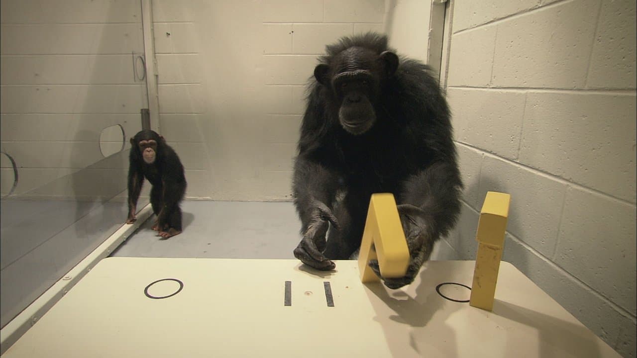 Survivre au progrès backdrop