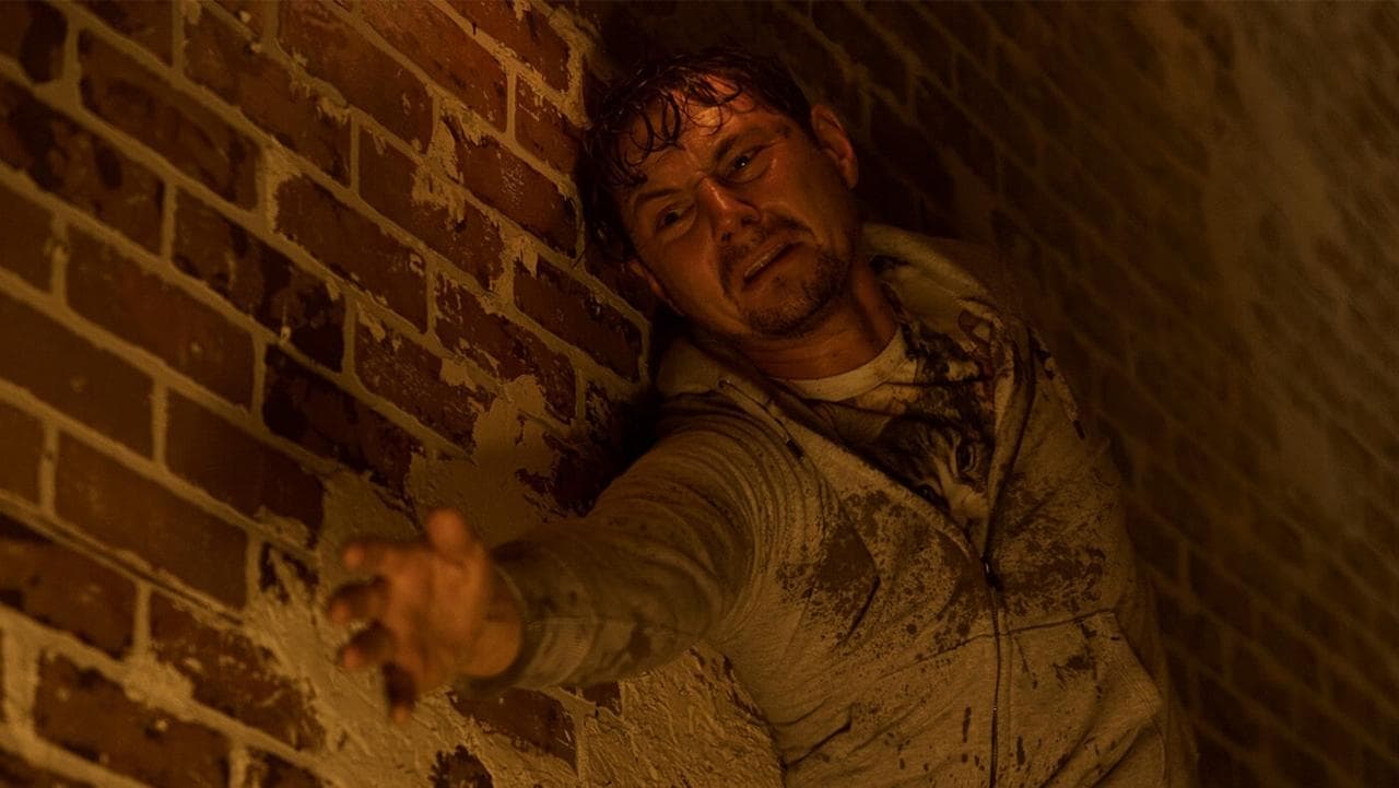 Follow_dead backdrop