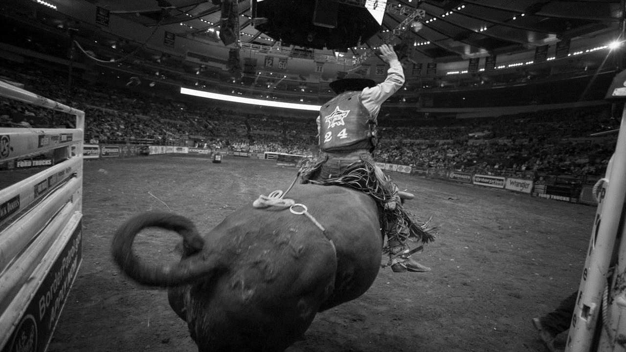 Cœur de champion backdrop