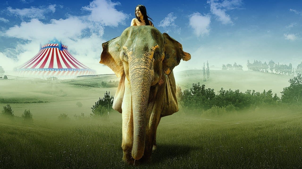 Sauvez Flora l'éléphant backdrop