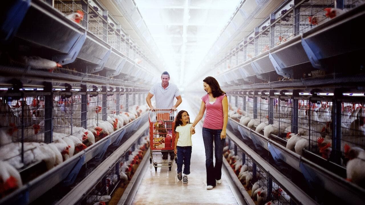 Du poison au menu backdrop