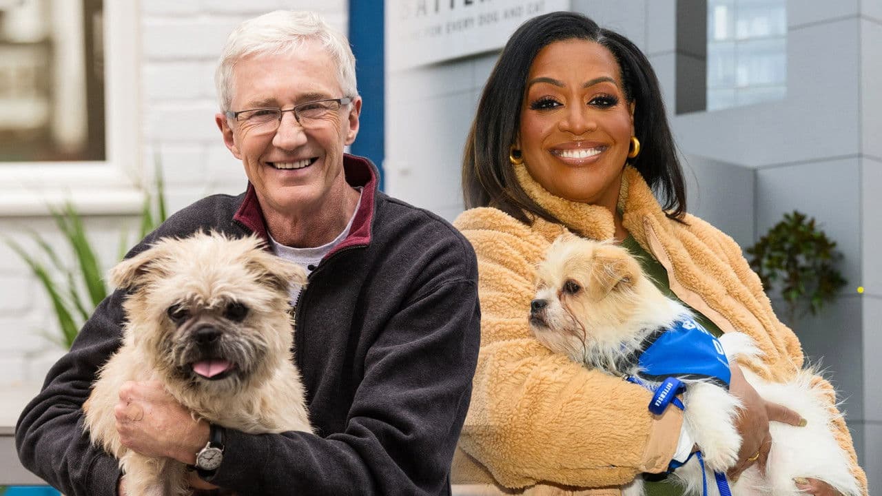 Paul O'Grady, pour l'amour des chiens backdrop