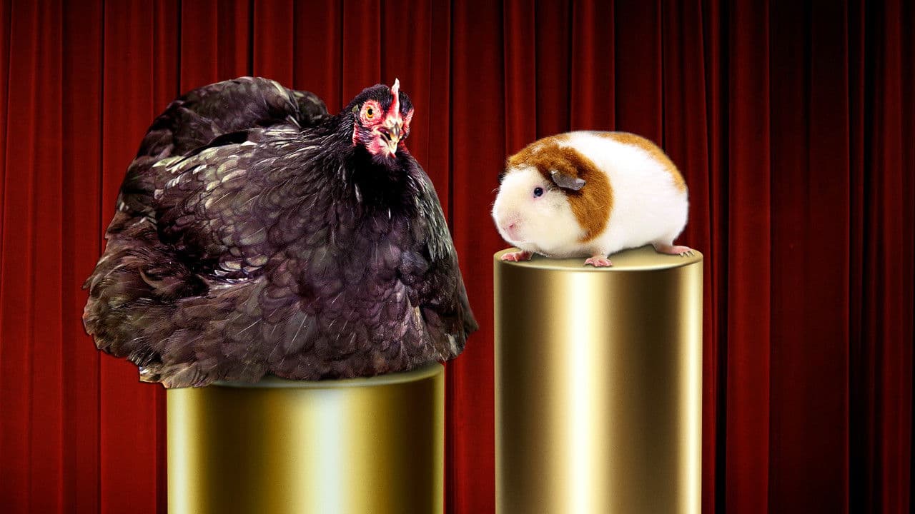 Bêtes de gloire backdrop