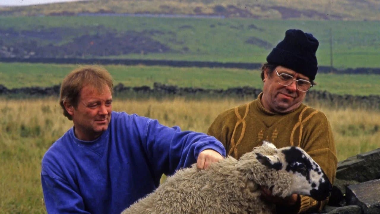 Raining Stones backdrop