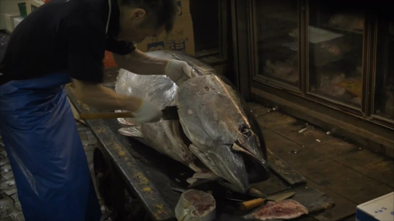 Noma au Japon backdrop