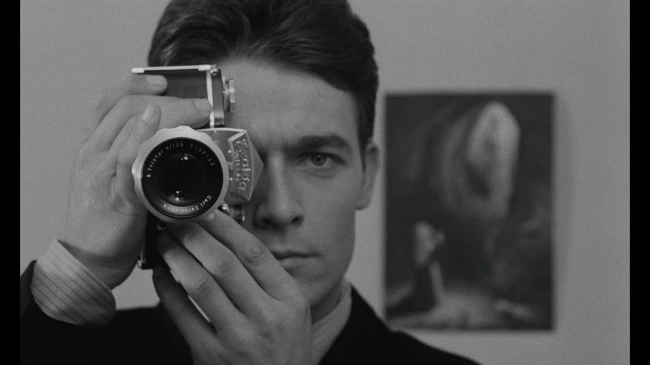 L'Œil du Malin backdrop