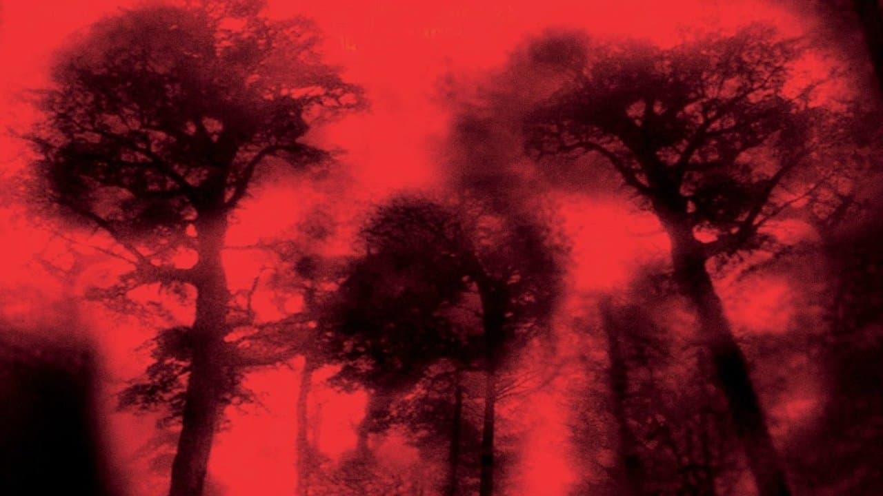 Cabin Fever backdrop