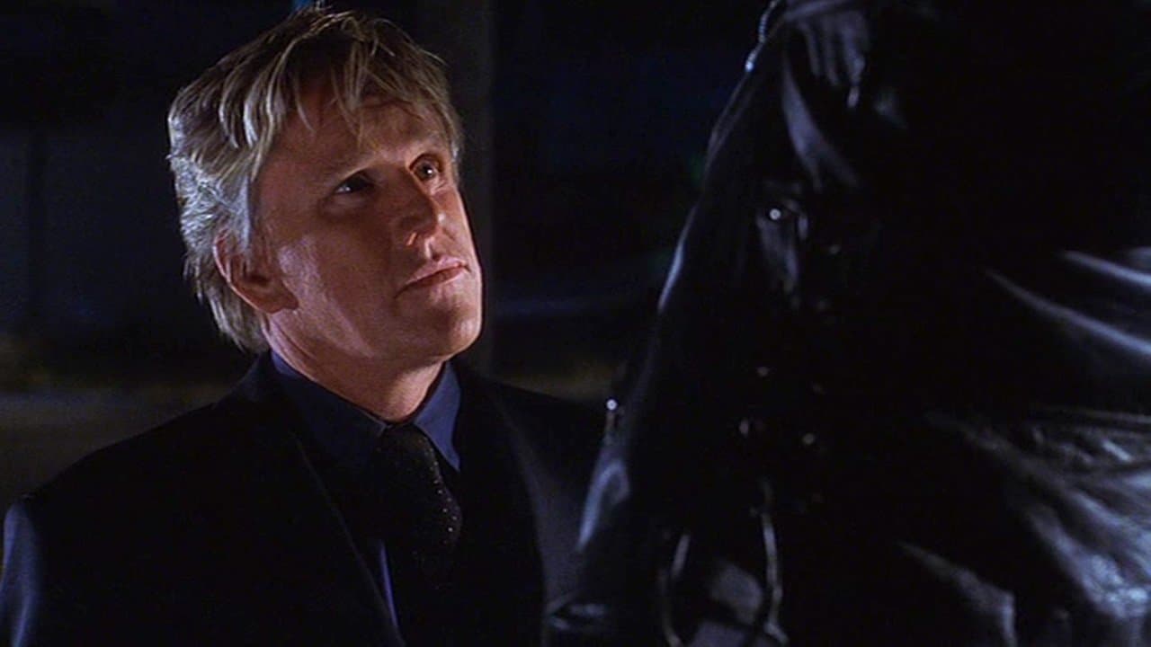 Le Mexicain backdrop