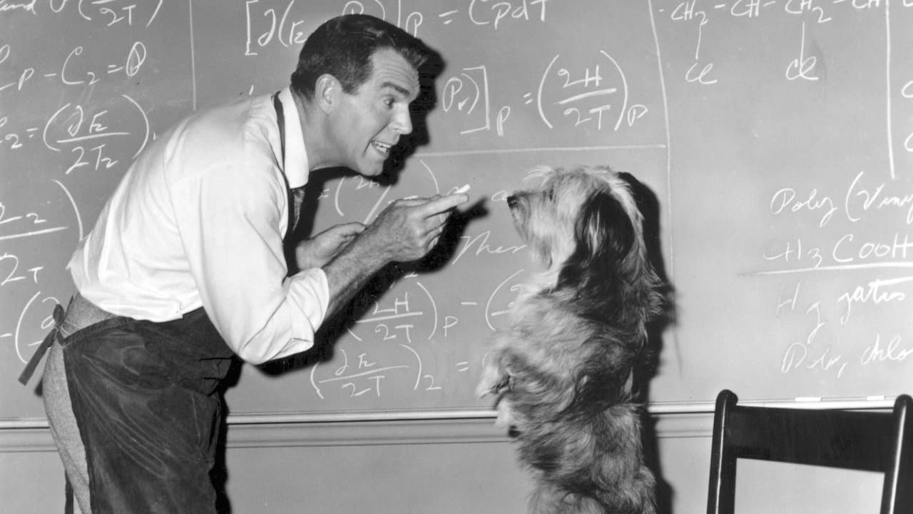 Monte là-d'ssus backdrop