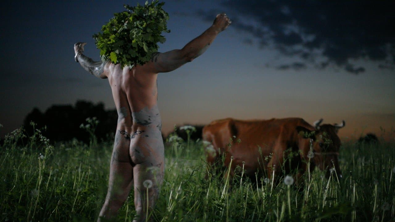 Folie d'été backdrop