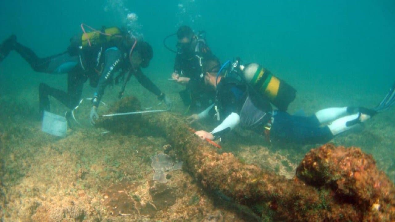 La Véritable histoire des pirates backdrop