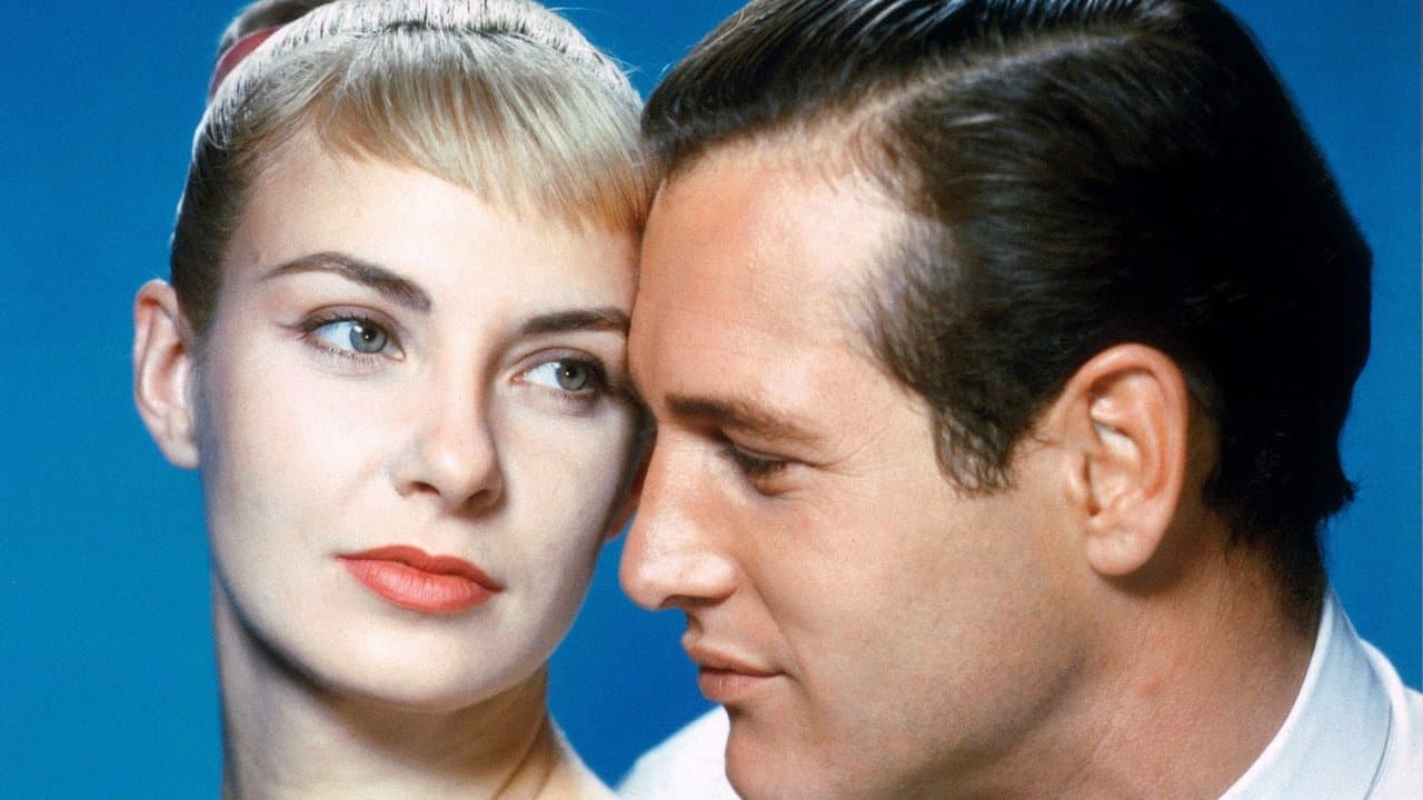 Les Feux de l'été backdrop