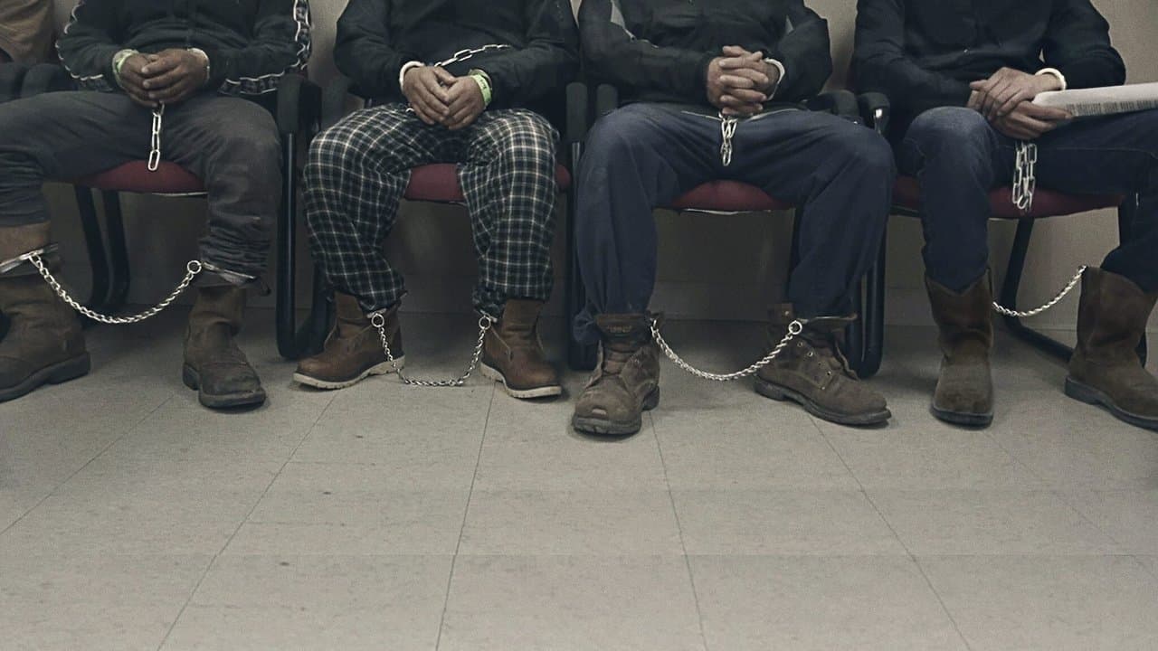 Les États-Unis, terre d'immigration backdrop