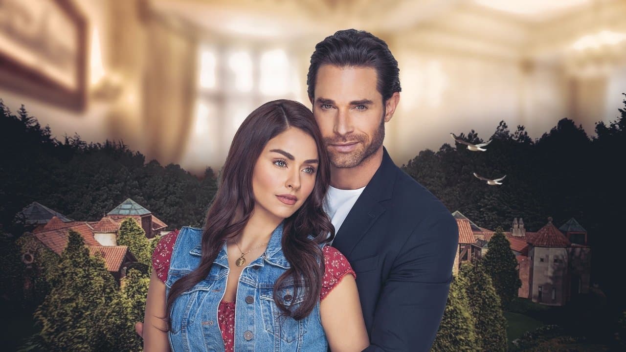 Les riches pleurent aussi backdrop